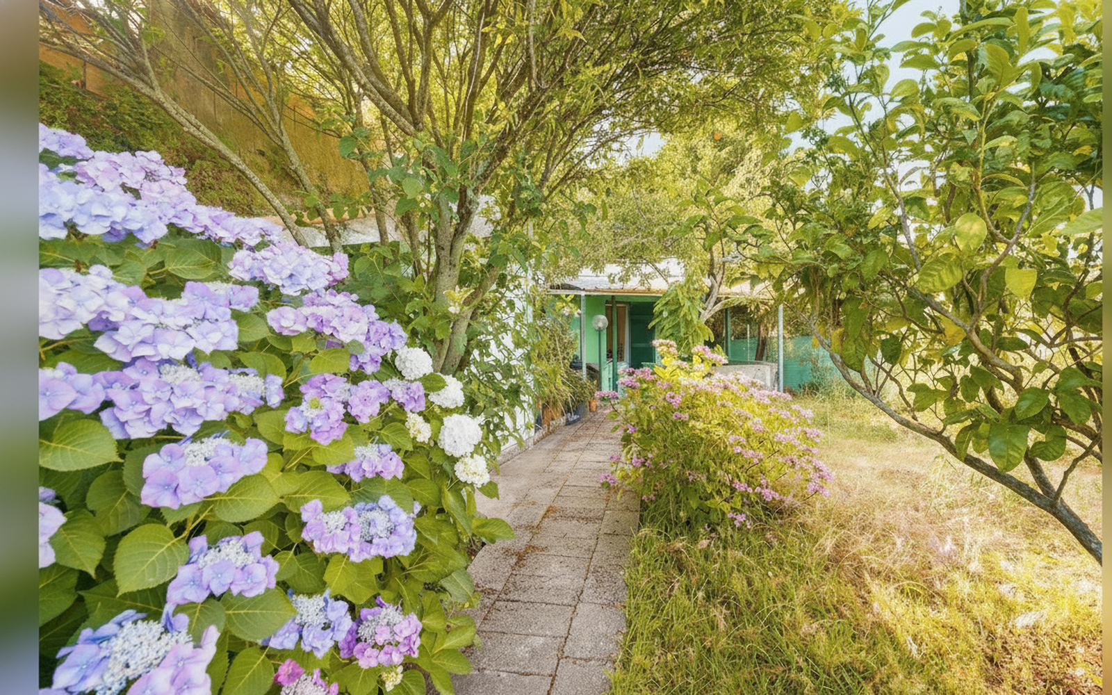 Appartamenti da Giorgio e Lina, Barano d'Ischia (Campania)